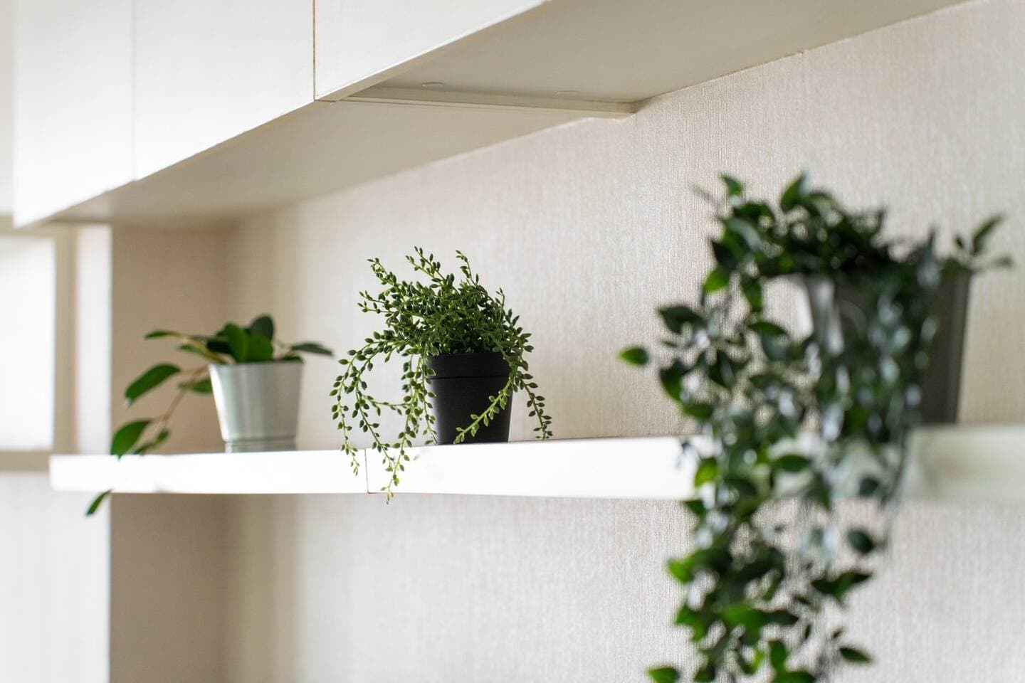 Ivy Thonglor Co-property F6 — photo 13
