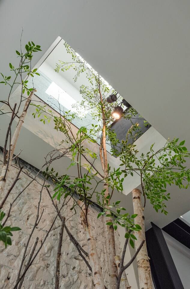 Yaowarat 39 — photo 71
